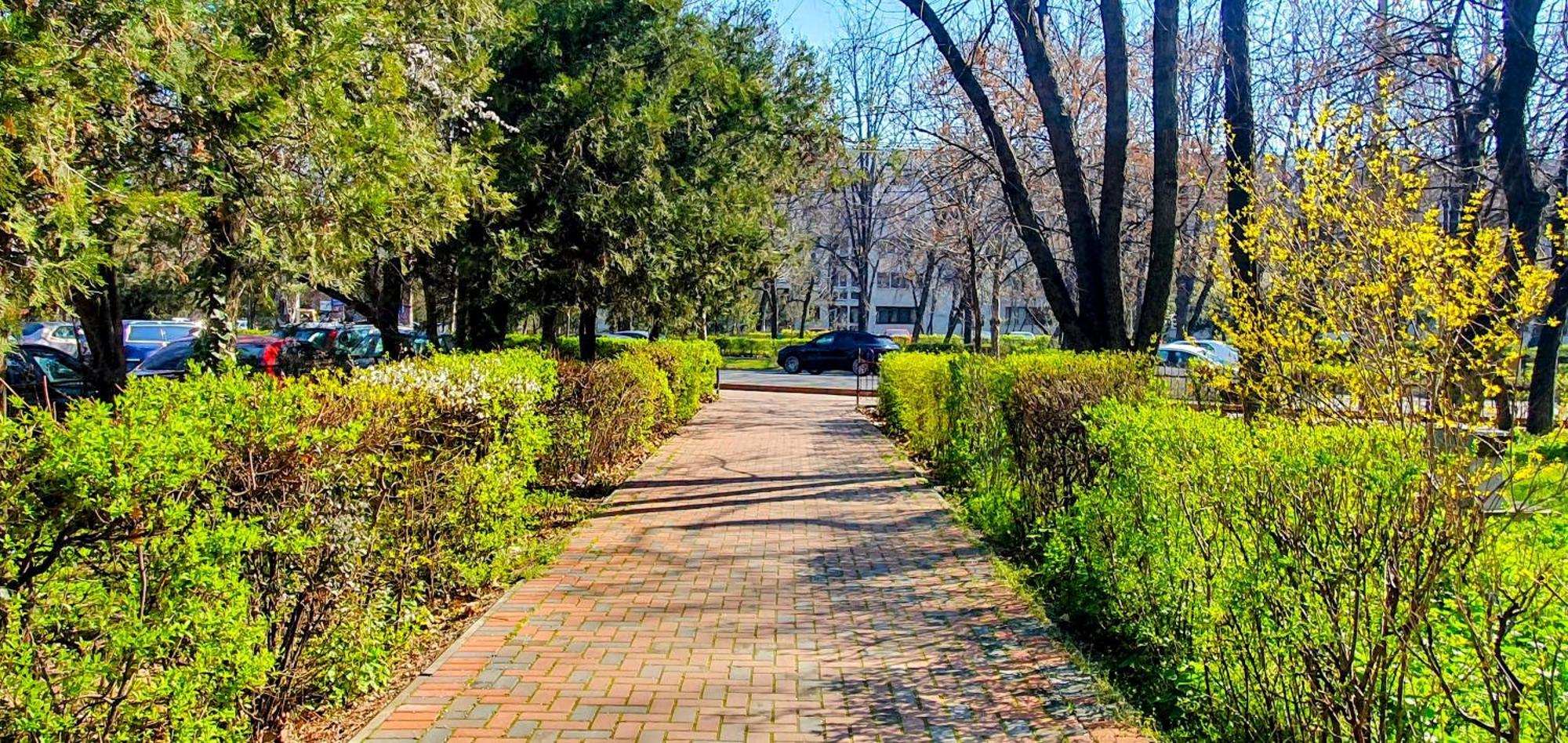 City Break Park Studio Bucureşti Ngoại thất bức ảnh